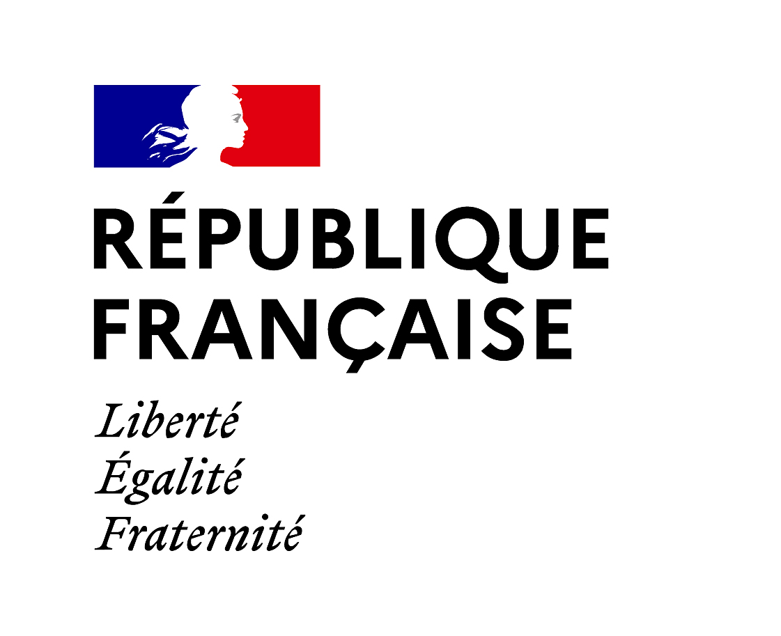 Logo Republique francaise